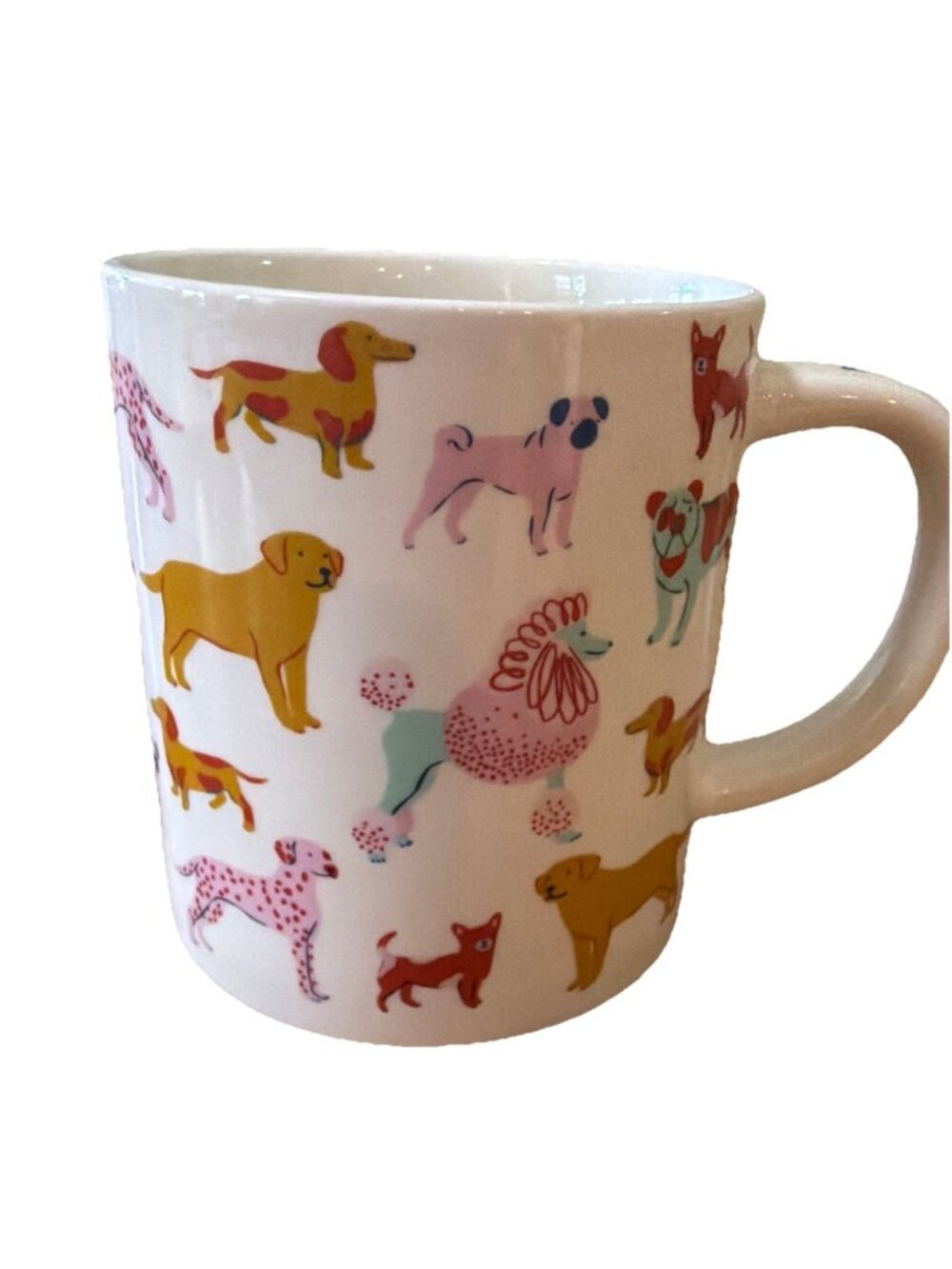 Dog Person Parker Lane Stoneware Pastel Colorful Large Coffee Tea Mug 16 oz EUC